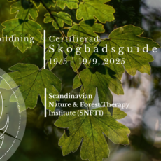 Certifierad Skogsbadsguide 2025, Svenska-Norska