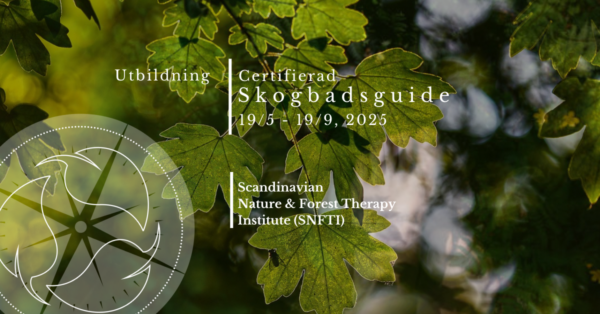 Certifierad Skogsbadsguide 2025, Svenska-Norska